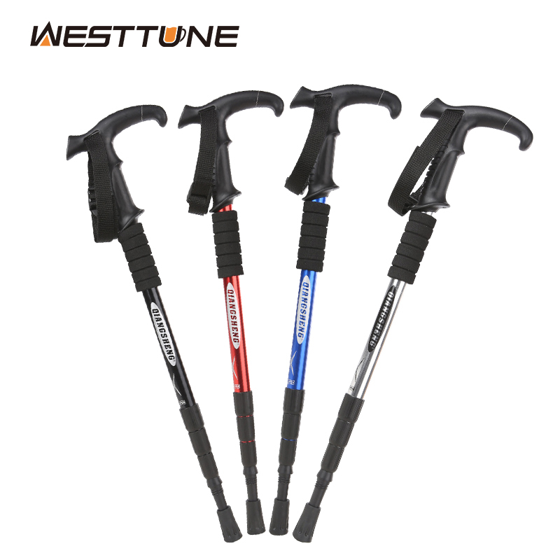 Trekking Pole Carbon - Canne de randonnée pliante en plein