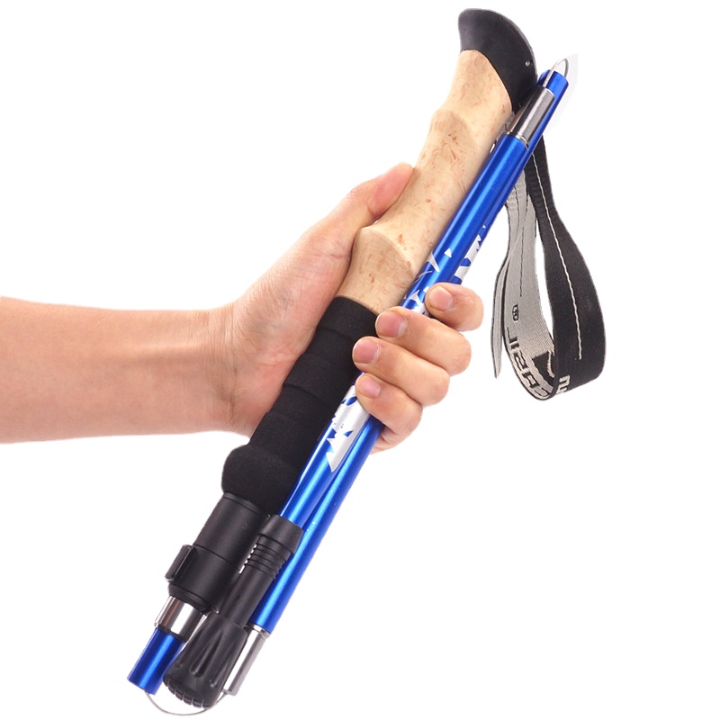 Trekking Pole Carbon - Bâtons de randonnée ultralégers en fibre