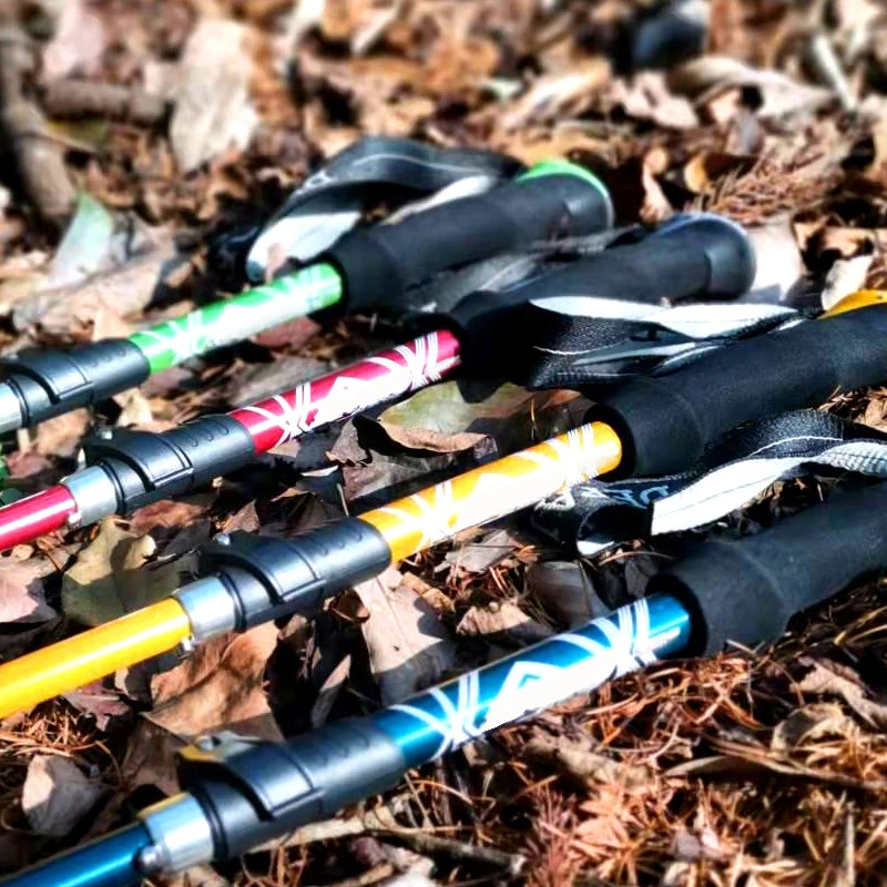Bâton de Trekking pliable en p - Trekking Pole Carbon avis et prix