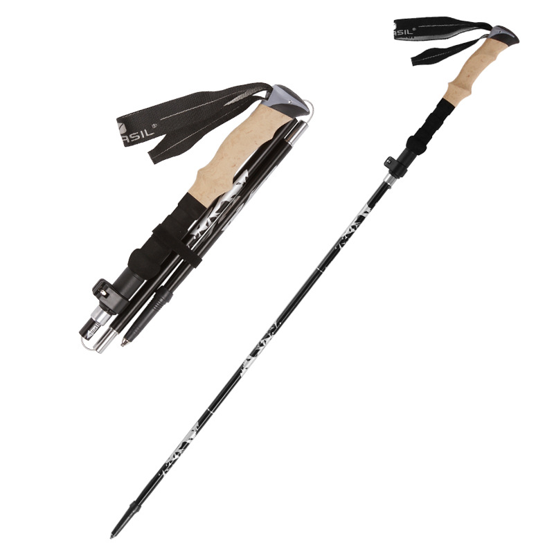 Bâtons de randonnée ultraléger - Trekking Pole Carbon avis et prix