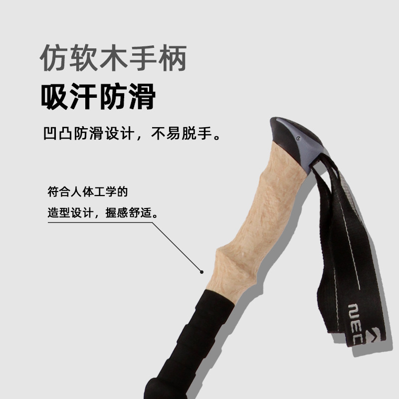 Bâtons de randonnée ultraléger - Trekking Pole Carbon avis et prix