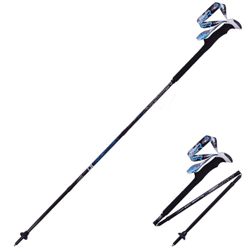 PIONEER bâtons de marche de Tr - Trekking Pole Carbon avis et prix