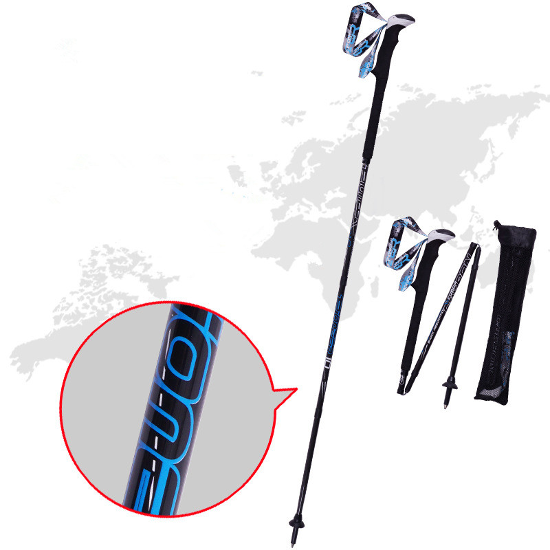 PIONEER bâtons de marche de Tr - Trekking Pole Carbon avis et prix