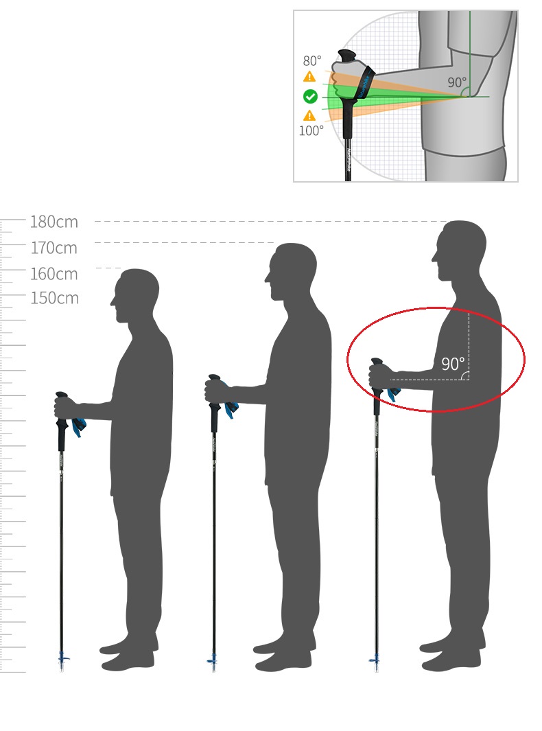 PIONEER bâtons de marche de Tr - Trekking Pole Carbon avis et prix