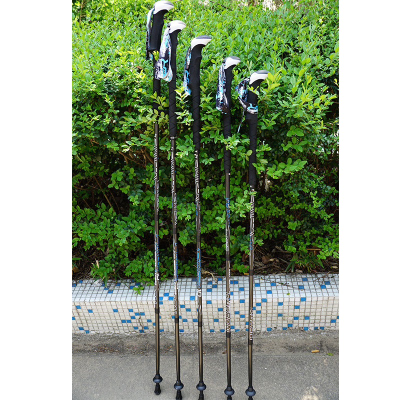 PIONEER bâtons de marche de Tr - Trekking Pole Carbon avis et prix